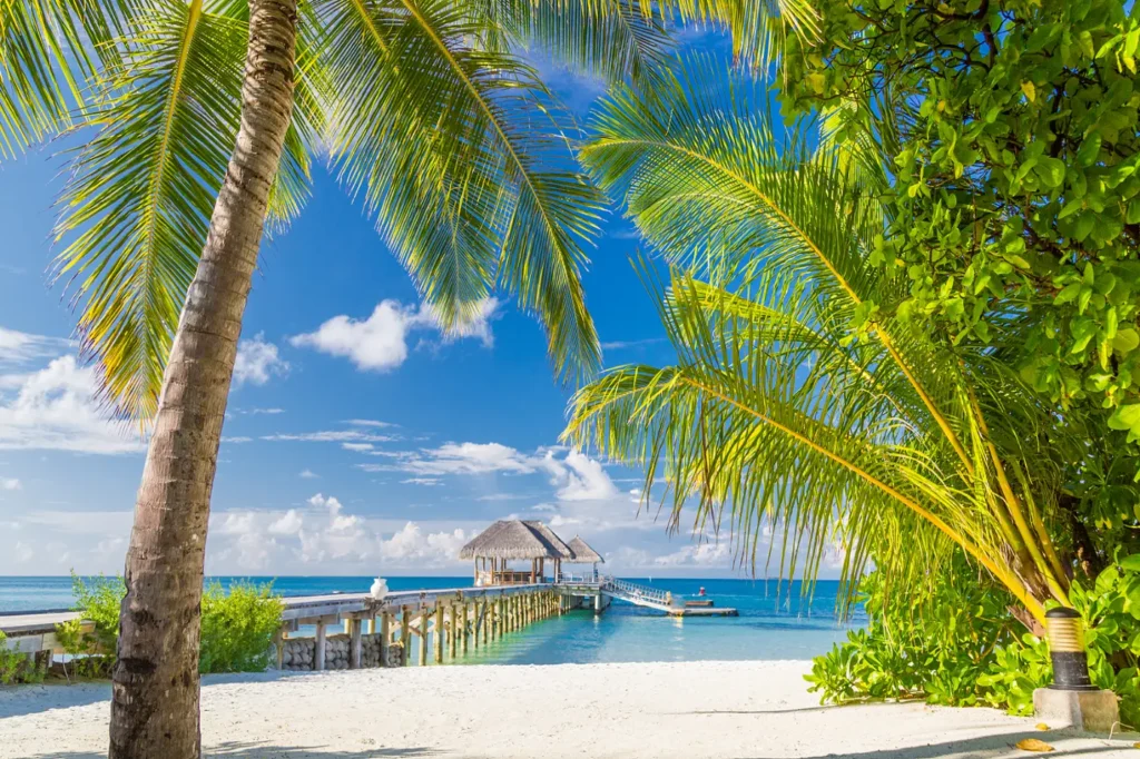 Things to Check Before Buying a Vacation Membership