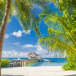 Things to Check Before Buying a Vacation Membership